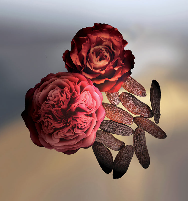BAL DE ROSES