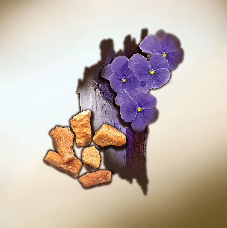 GÉNIE DES BOIS