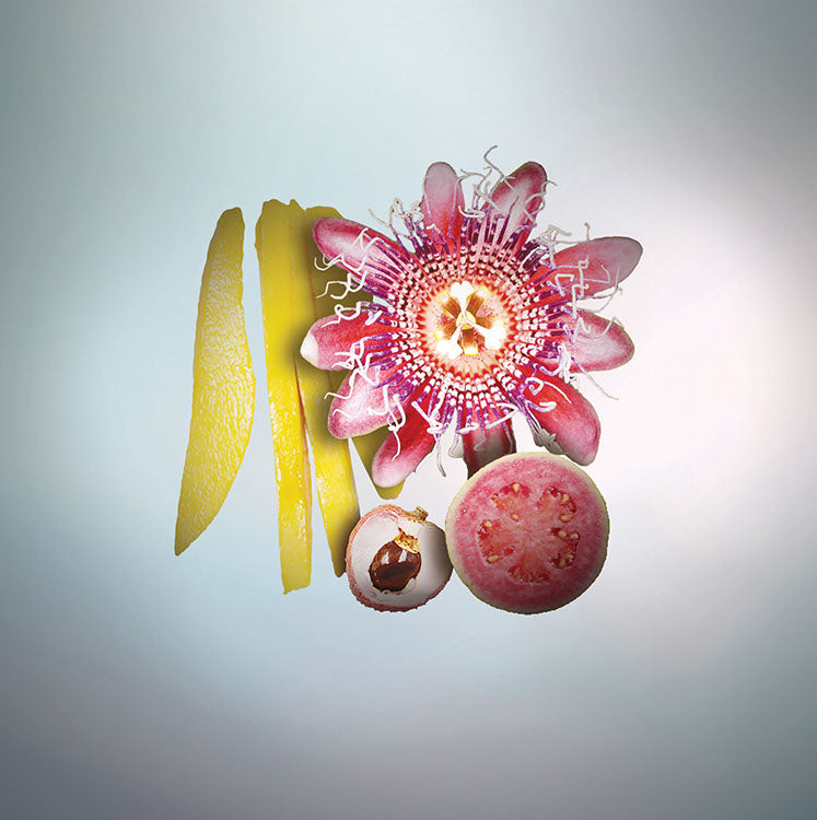 PASSIFLORA