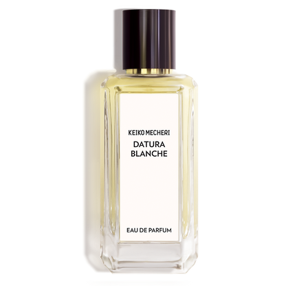 DATURA BLANCHE